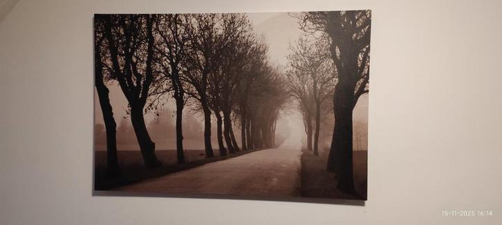 Ikea Pjatteryd Canvas - Weg met Bomen 78x118cm, Huis en Inrichting, Woonaccessoires | Schilderijen, Tekeningen en Foto's, Zo goed als nieuw