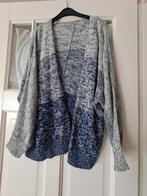 Vest, Ophalen of Verzenden, Zo goed als nieuw, Maat 46/48 (XL) of groter, Blauw