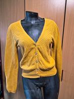 Mostergele vest Nathalie Vleeschouwer - Maat L, Nathalie Vleeschouwer, Geel, Maat 42/44 (L), Ophalen of Verzenden