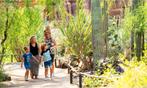 Kaartjes Burgers Zoo, Tickets en Kaartjes, Recreatie | Dierentuinen, Drie personen of meer