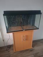 Aquarium met kast, Ophalen, Gebruikt, 90 cm of meer, Hok