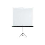 Diascherm nog in prima staat, Ophalen, Handmatig, Gebruikt