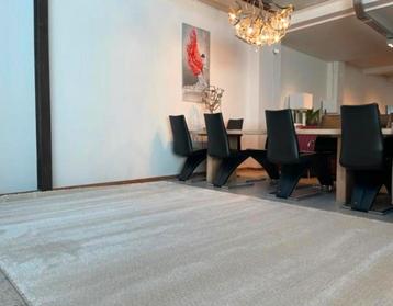 Leolux Amund tapijt Polar 240 x 340 nieuw in verpakking! beschikbaar voor biedingen