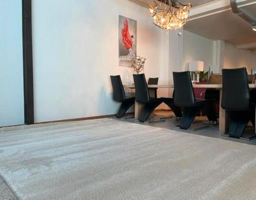 Leolux Amund tapijt Polar 240 x 340 nieuw in verpakking!, Huis en Inrichting, Stoffering | Tapijten en Kleden, Nieuw, 200 cm of meer