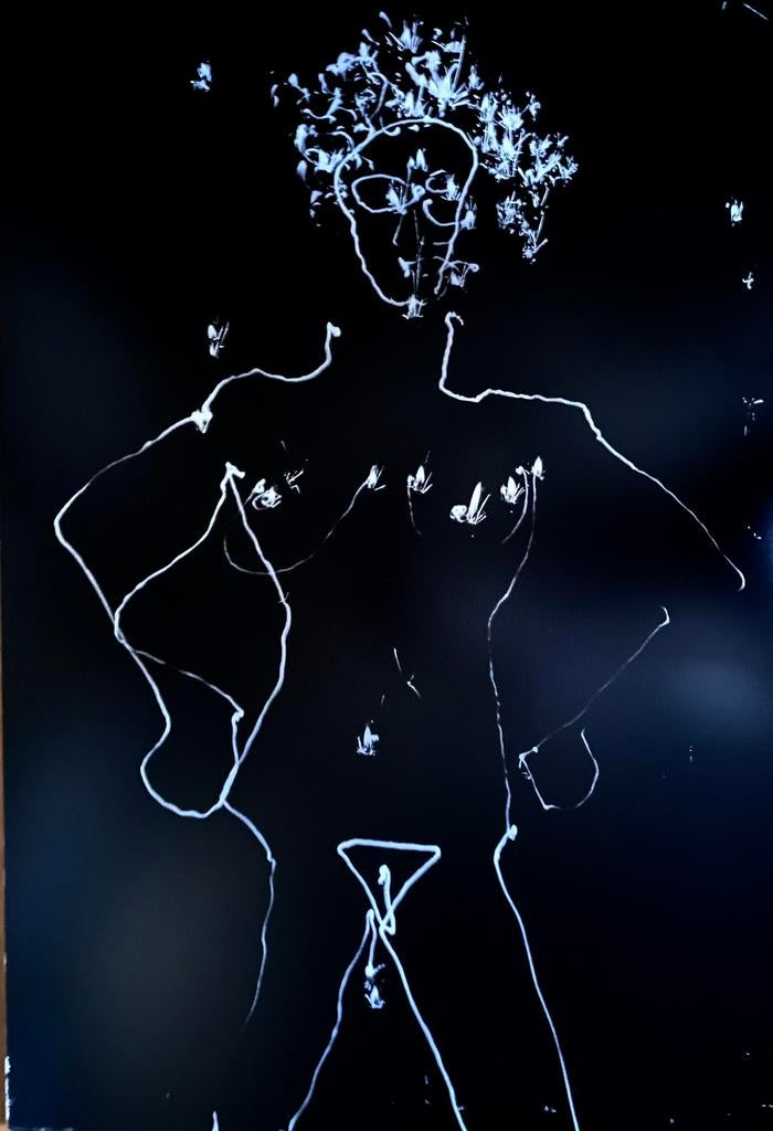 Paul Blanca lightdrawing, Ophalen of Verzenden