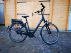 Pegasus elektrische fiets, bosch performance line 500wh accu, Zo goed als nieuw, 51 tot 55 cm, 50 km per accu of meer, Ophalen