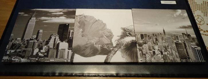 Te koop drie afbeeldingen op canvasdoek (20 cm x 20 cm)., Huis en Inrichting, Woonaccessoires | Wanddecoraties, Zo goed als nieuw