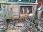 Konijnenhok, Dieren en Toebehoren, Knaagdieren en Konijnen | Hokken en Kooien, Ophalen, 90 cm of meer, Konijn, Hok