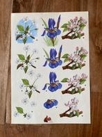 Knipvel bloemen, Hobby en Vrije tijd, Kaarten | Zelf maken, Ophalen of Verzenden, Nieuw, Natuur, Knipvel