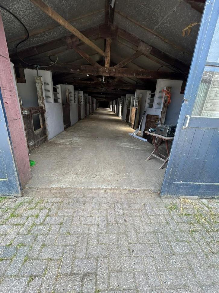 Reining Accomodatie te huur, Dieren en Toebehoren, Stalling en Weidegang, Stalling, 4 paarden of pony's of meer