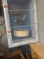 Mooie en nette kooi voor een knaagdier, Dieren en Toebehoren, Ophalen of Verzenden, Zo goed als nieuw, Vogelkooi