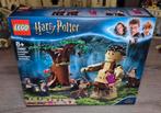 LEGO Harry Potter Verboden Bos (75967), Ophalen of Verzenden, Nieuw, Complete set, Lego