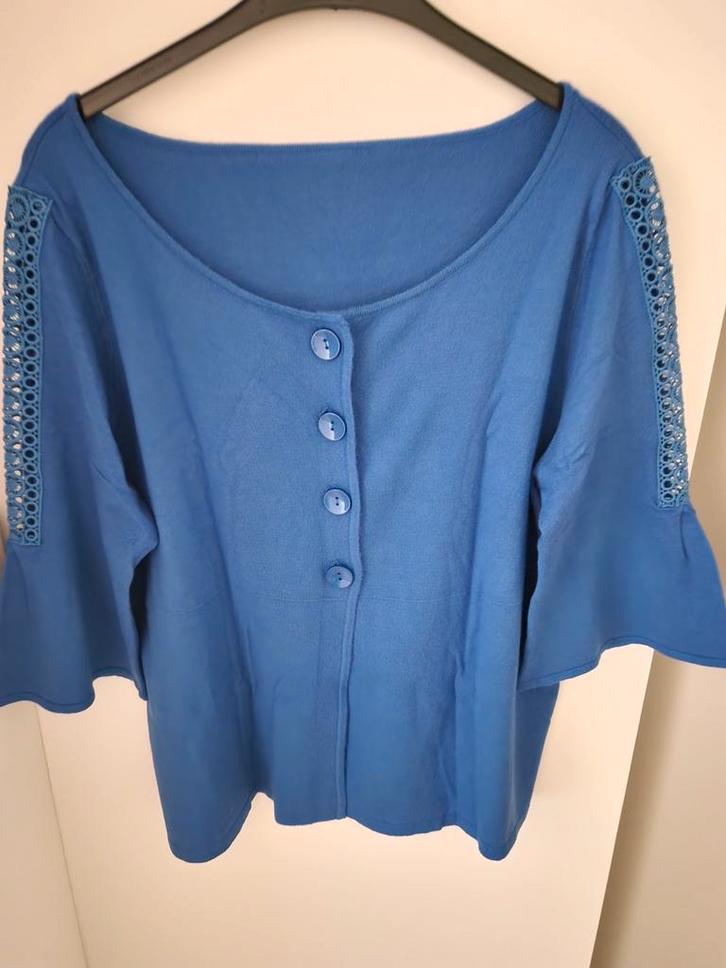 nieuw blauw vest mt 48, Kleding | Dames, Truien en Vesten, Nieuw, Maat 46/48 (XL) of groter, Blauw, Ophalen of Verzenden