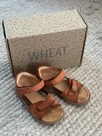 Wheat leren sandalen meisje maat 26, Gebruikt, Meisje, Overige typen, Ophalen of Verzenden