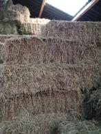 Hooi balen, Dieren en Toebehoren, Stalling en Weidegang