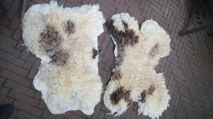 2 gevilte vachten Jacobschaap, mooi tweetal, wol, Huis en Inrichting, Woonaccessoires | Plaids en Woondekens, Nieuw, Verzenden