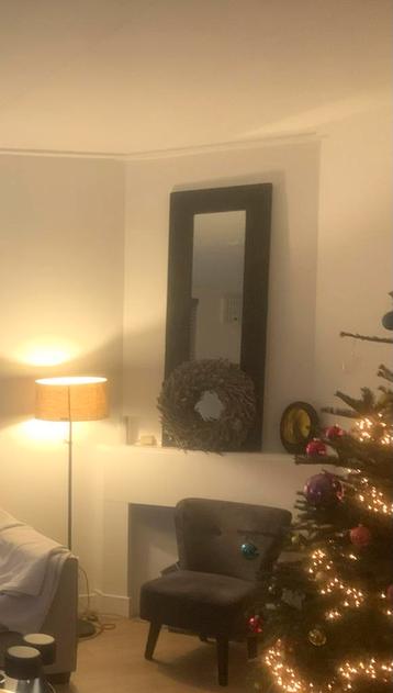 Grote spiegel met donker houten rand beschikbaar voor biedingen
