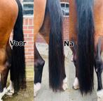 📣 Laat jouw paard/pony stralen met een prachtige staart!, Dieren en Toebehoren, Ophalen of Verzenden, Nieuw