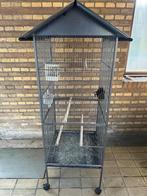 Groete Papagaai en kanari kooi, Ophalen of Verzenden, Zo goed als nieuw, Metaal, Vogelkooi