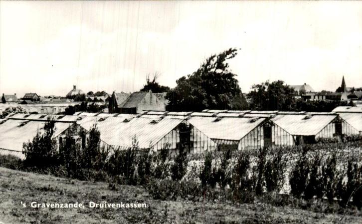 's Gravenzande - Druivenkassen, Verzamelen, Ansichtkaarten | Nederland, Gelopen, Utrecht, Voor 1920, Ophalen of Verzenden