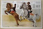 Paarden Spaanse Rijschool  kaart Voor het Kind 1980 Broecke, Verzamelen, Ansichtkaarten | Themakaarten, Ophalen of Verzenden, 1960 tot 1980