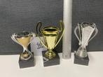 Trofeeën/wedstrijdbekers/sportprijzen/bokalen, set 48, Sport en Fitness, Ophalen of Verzenden, Gebruikt