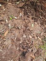 Gratis afhalen - hout compost - Niebert, Tuin en Terras, Aarde en Mest, Ophalen of Verzenden