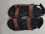 Bruin Ecco sandalen maat 42, Kleding | Heren, Schoenen, Sandalen, Ecco, Bruin, Ophalen of Verzenden