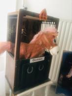Zingende Pony in stal, Ophalen of Verzenden, Overige soorten
