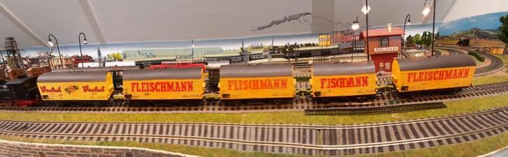 fleischmann wagons, Hobby en Vrije tijd, Modeltreinen | H0, Zo goed als nieuw, Wagon, Gelijkstroom, Fleischmann, Ophalen of Verzenden