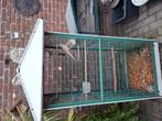 2valkparkieten met kooi, Dieren en Toebehoren, Vogels | Hokken en Kooien, Ophalen of Verzenden, Gebruikt, Metaal, Vogelkooi