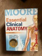 Essential clinical anatomy Moore, Ophalen of Verzenden, Beta, Zo goed als nieuw, WO