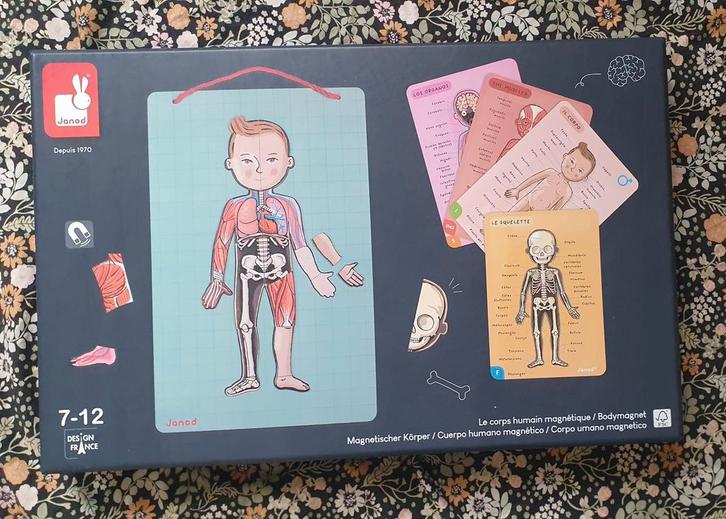 Janod Magnetisch spel Het Menselijk Lichaam, Kinderen en Baby's, Speelgoed | Educatief en Creatief, Zo goed als nieuw, Ophalen of Verzenden