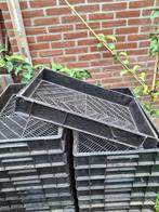 zaaikratten zaaibak stekbak evt met tray, Tuin en Terras, Bloembakken en Plantenbakken, Kunststof, Gebruikt, Minder dan 30 cm