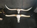 Longhorn Schedel 1.70m - Stoere Decoratie, Ophalen of Verzenden, Nieuw