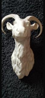 Geiten kop, Ophalen, Zo goed als nieuw