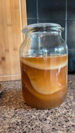 Kombucha Scoby, Ophalen