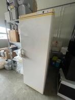 Koelkast BOSCH economic cooler, Ophalen, 150 tot 200 liter, 60 cm of meer, 160 cm of meer