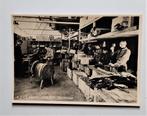 VOLENDAM ATLI Joseph Leyser met jongens mannen circa 1950, Ophalen of Verzenden, 1940 tot 1960, Ongelopen, Noord-Holland