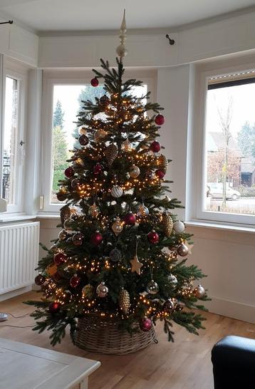 Mooie kerstboom met paraplusysteem beschikbaar voor biedingen