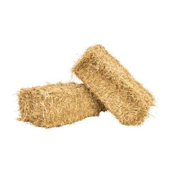 Kleine pakjes gerste stro beschikbaar voor biedingen