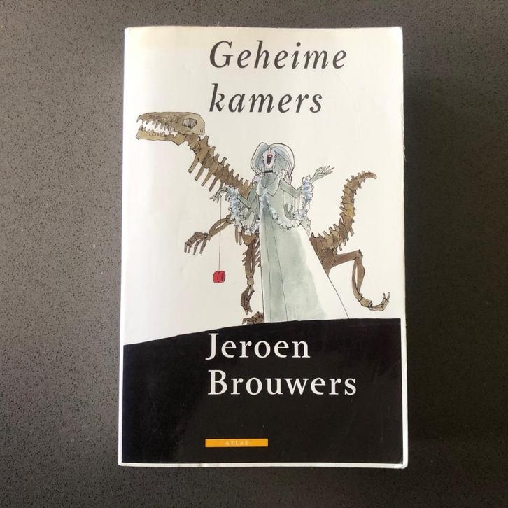 Boek - Geheime kamers - Jeroen Brouwers, Boeken, Literatuur, Gelezen, Nederland, Ophalen of Verzenden