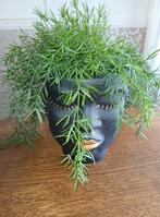Mooie grote pot met kunstplant, Huis en Inrichting, Kamerplanten, Ophalen, Overige soorten, In pot, Minder dan 100 cm