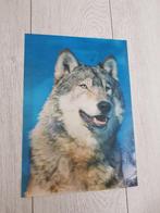 3D wolvenprint, Huis en Inrichting, Minder dan 50 cm, Oorspronkelijke maker, Ophalen of Verzenden, Minder dan 50 cm