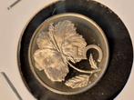cook islands 5 cents proof 1975, Postzegels en Munten, Munten | Oceanië, Ophalen of Verzenden