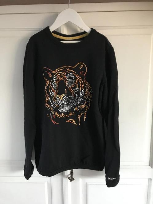 sweatshirt leeuwenkop (WE) 146/152, Kinderen en Baby's, Kinderkleding | Maat 146, Zo goed als nieuw, Meisje, Shirt of Longsleeve