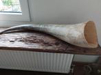 Grote hoorn 80 cm, Antiek en Kunst, Curiosa en Brocante, Ophalen of Verzenden