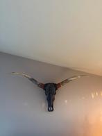 Longhorn schedel - 150cm breed, Huis en Inrichting, Ophalen, Zo goed als nieuw