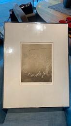 Vonala Teliman ets/ prent, Ophalen of Verzenden