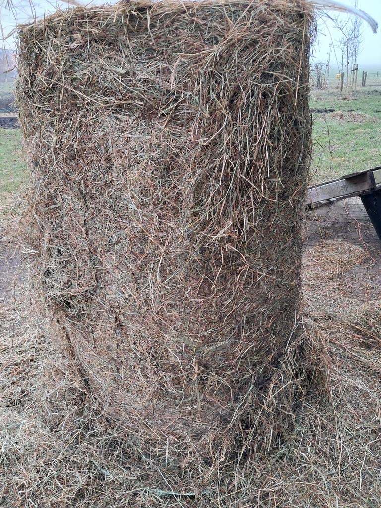 Hooi voor paarden super mooi lang spul ronde meter en 1,40, Ophalen of Verzenden, Vee